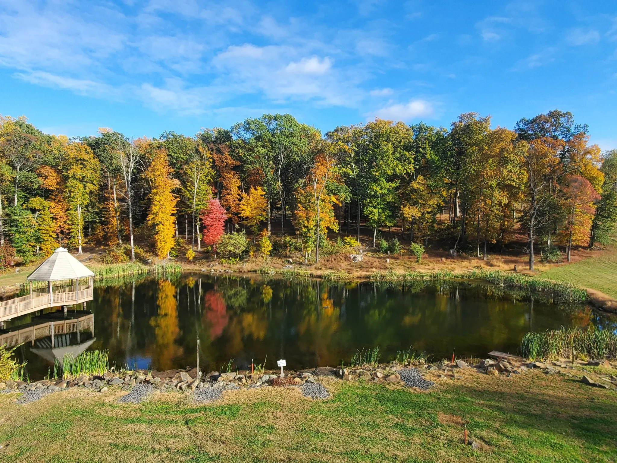A pond with a gazebo and footbridge, reflecting autumn trees on a sunny day