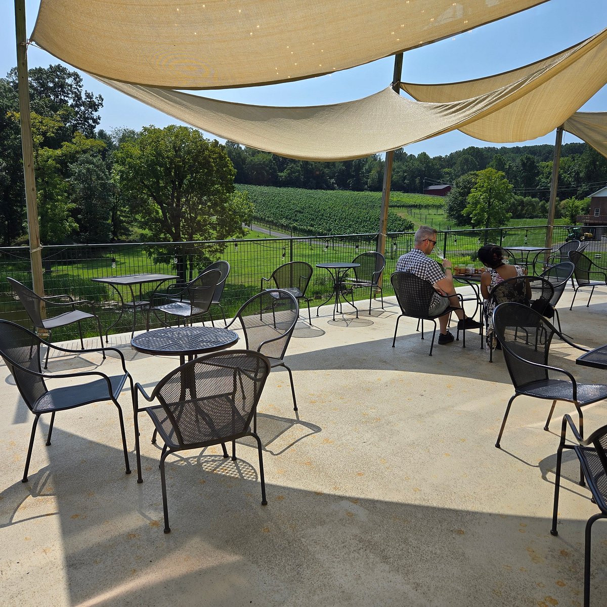 Shaded outdoor patio with mesh tables and chairs overlooking vineyard rows and trees